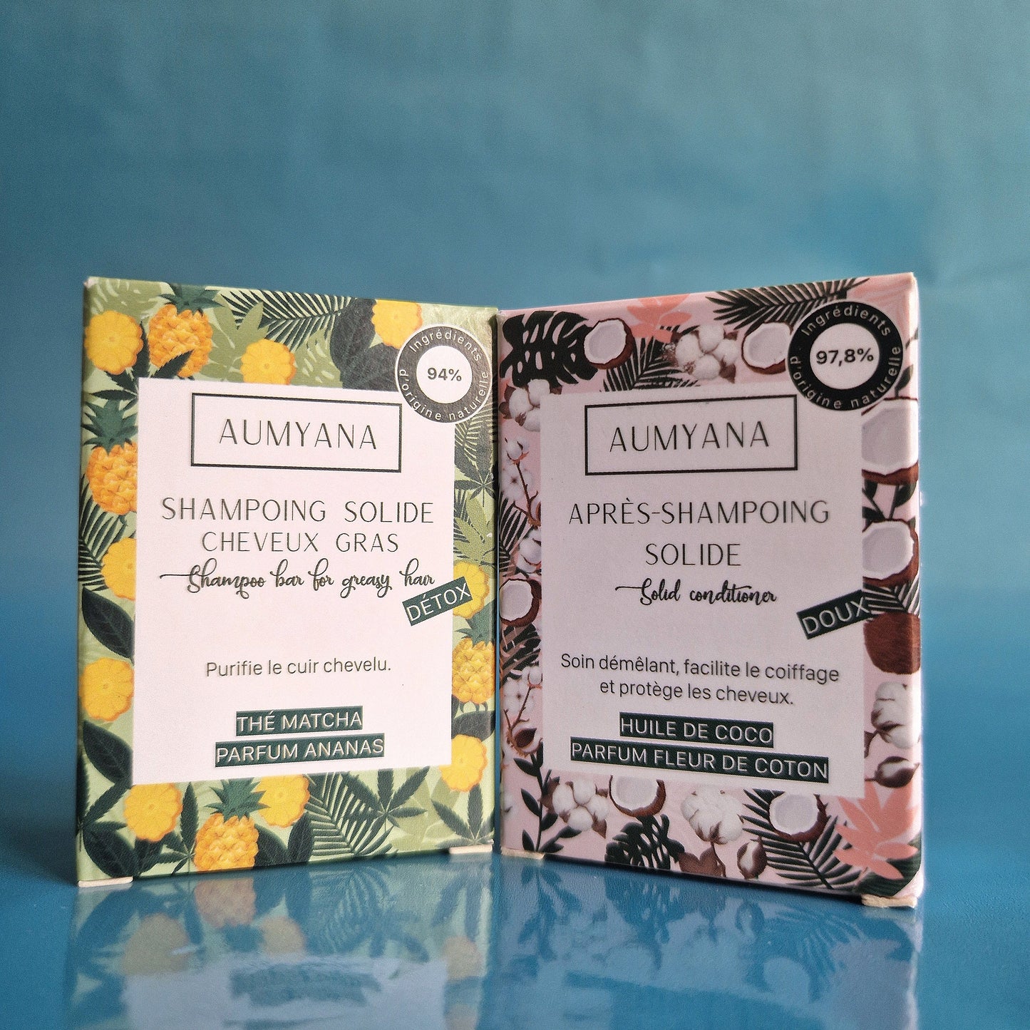 Duo Solide Cheveux Gras — Aumyana