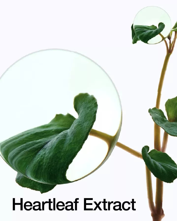 Coffret Peau Nette – Routine Anti-Imperfections & Apaisante