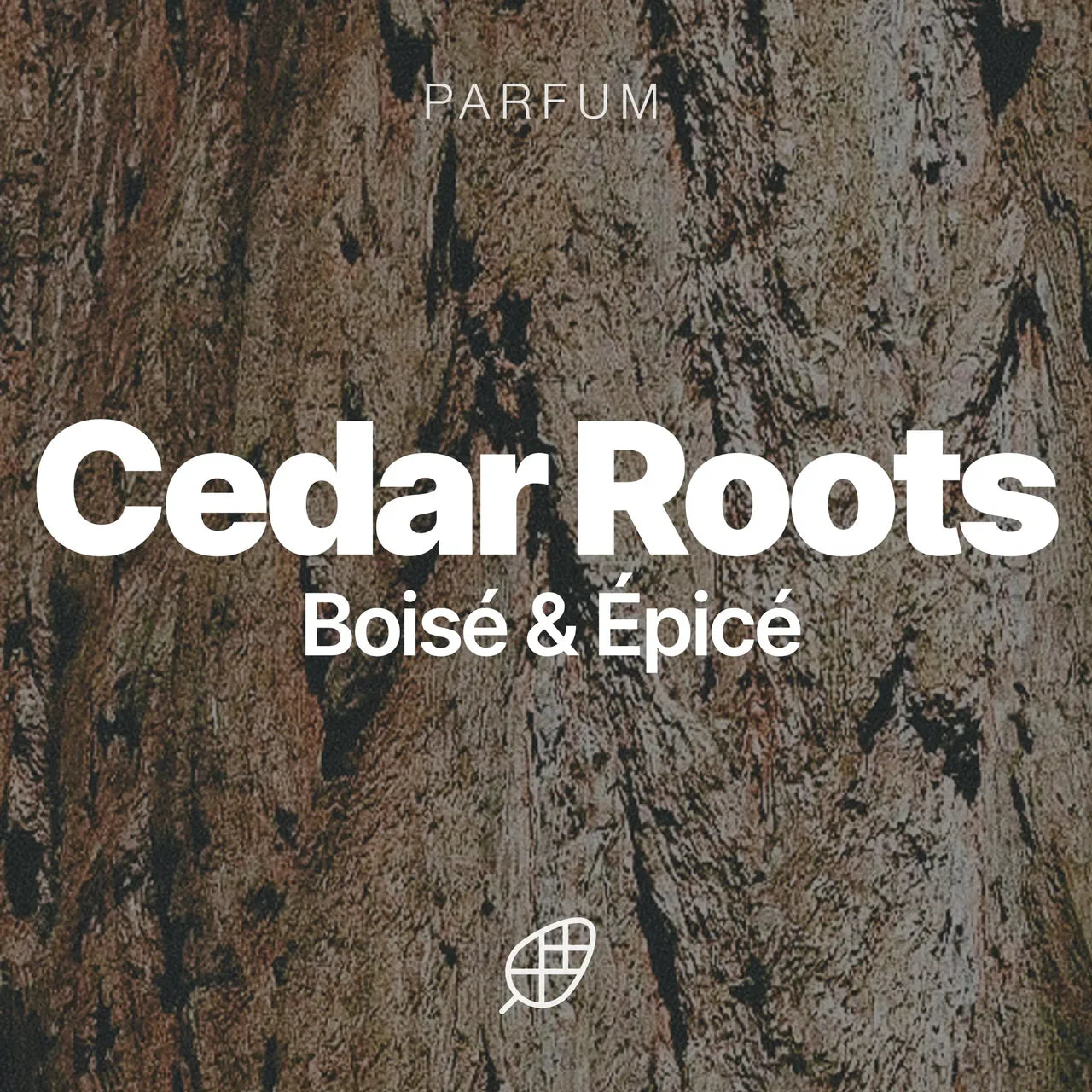 Sapiens - Huile à barbe - Cedar Roots