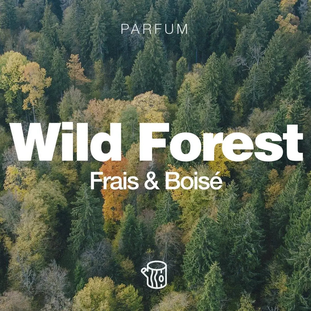 Sapiens - Huile à barbe - Wild Forest